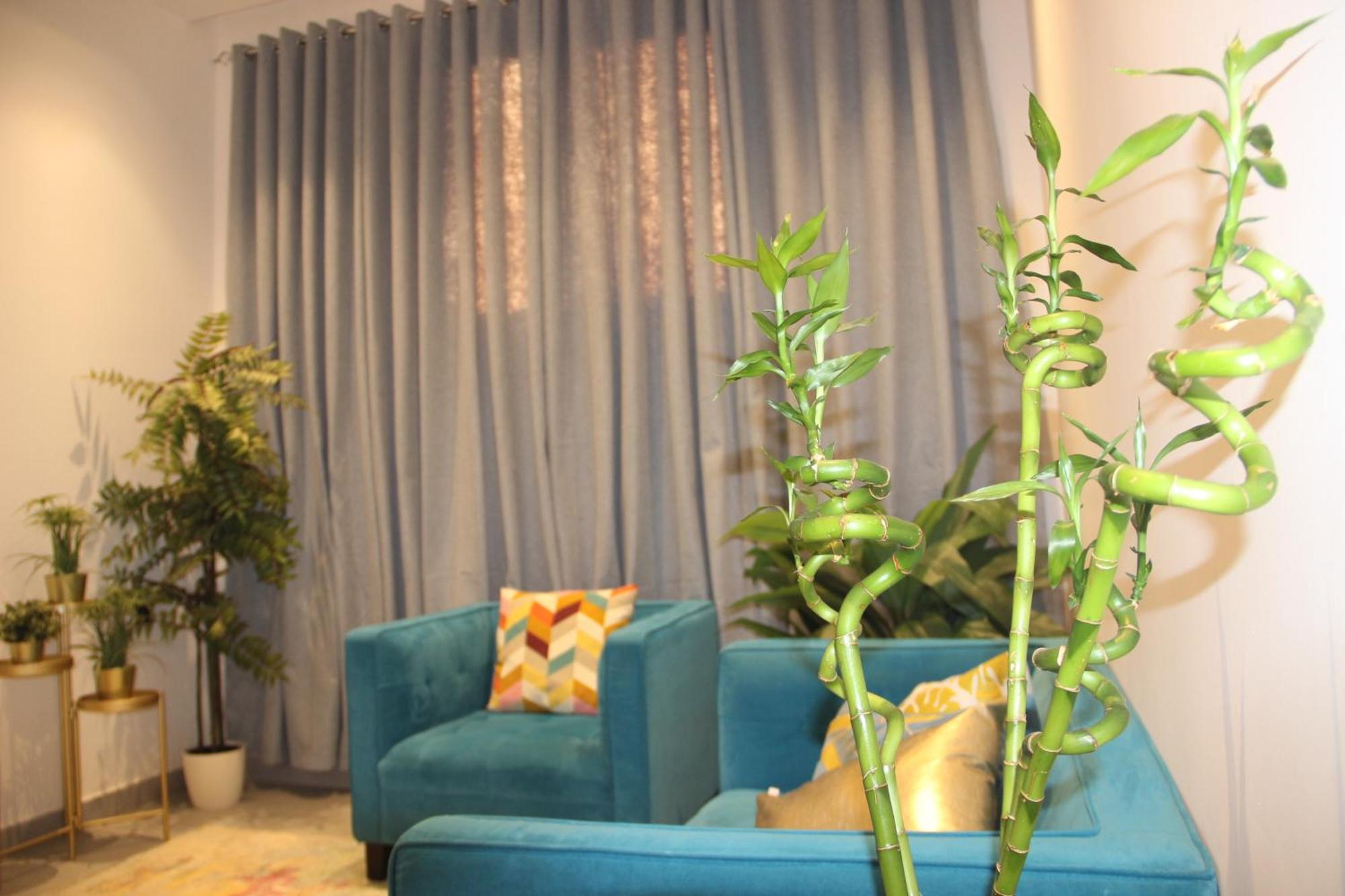 هبيتات 2 Habitat Apartment